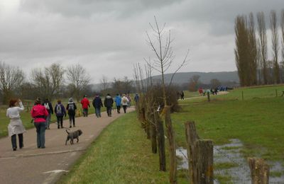 CATTENOM - 1ère marche du calendrier 2012