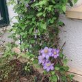 Retour à la maison