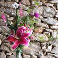 Les fleurs de mon jardin