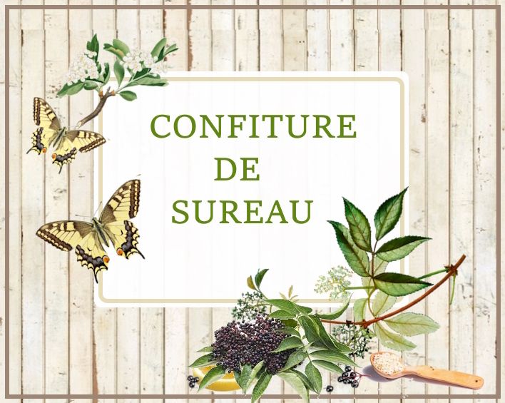 confiture de sureau