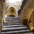 Jordanie - la forteresse d'Ajloun