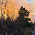 Feu de forêt en Ukraine