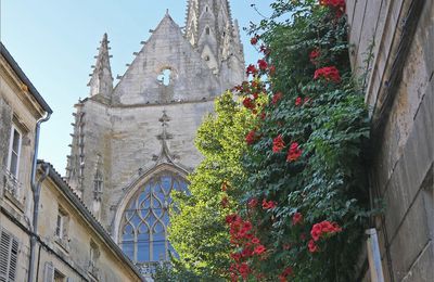 Minéral et végétal ....