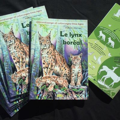 Réédition cahier lynx boréal