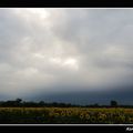 Avis d'orage......Le 12 Juillet 2011