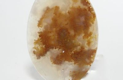 Texas Yellow Canary Plume Agate Stone Oval Cabochon