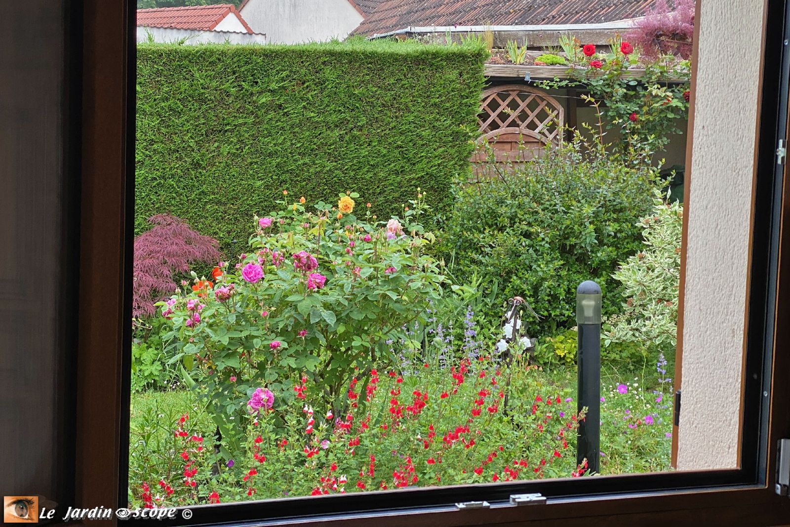 Vue du jardin depuis la fenêtre au saut du lit