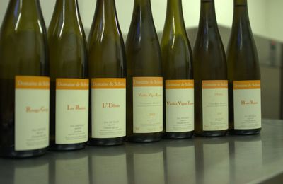 Eric Nicolas (Domaine de Bellivière) : (4)