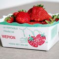 Fraises de Wepion