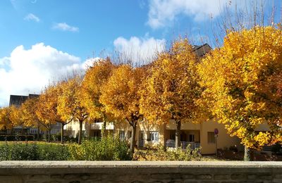 Automne