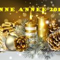 Une année s'achève !