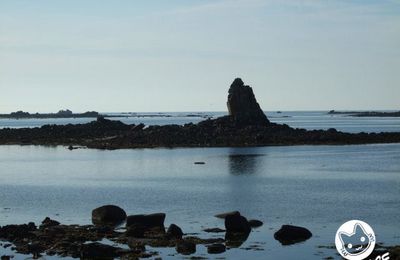 ♥ Fin de journée à la plage... [♣] Figurant : La