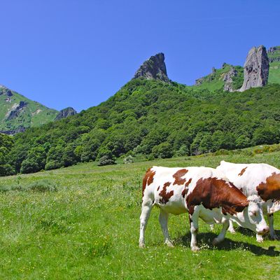Vacances dans le Massif du Sancy