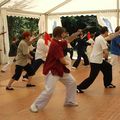 Le tai chi chuan 