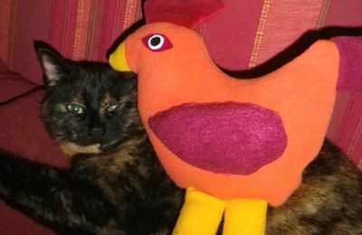 Picoti, picota, une poule sur un chat...