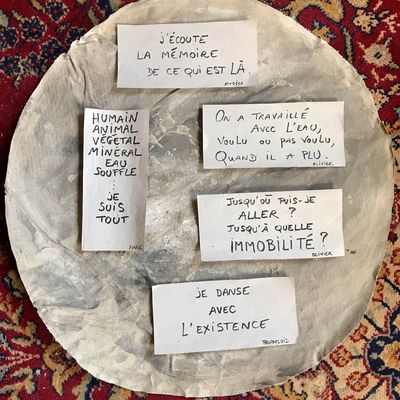 Quelques écrits en retour de l'expérience Êtres DeBoue 