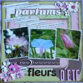 Parfums des fleurs d'été