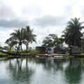 Séjour à l'est de Madagascar - Visite en pirogue Manakara sur le canal des Pangalanes
