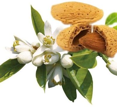 Savon Amande-fleur d'oranger : ça sent pas bon! 