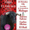 Saint-Gilles "Toros y flamenco pour garder la pêche taurine"