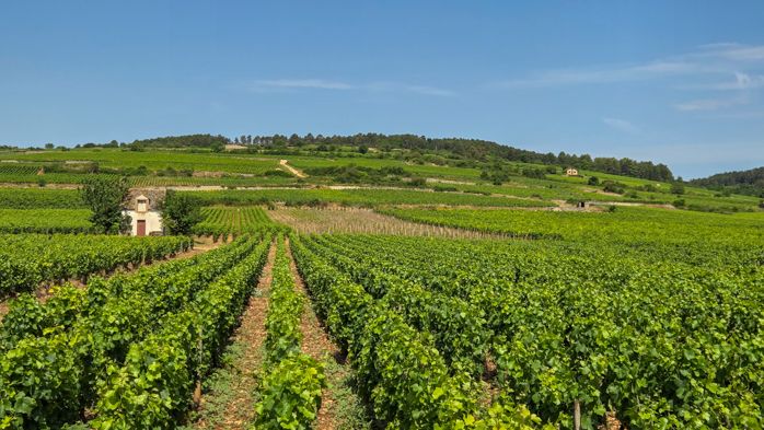Hostellerie Cèdre & Spa ***** - Restaurant Clos du Cèdre *