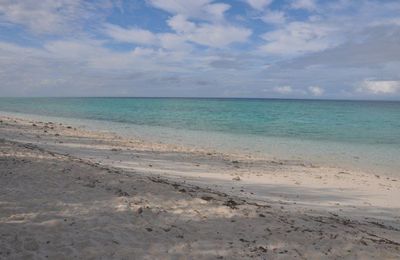 Jour 85 (QLD) : Heron Island