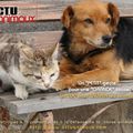 Vietnam : Ha long & Hue (fin) - Les chats de Craig - Les bienfaits de l'eau - Recettes : Nems asiatiques, cake aux framboises