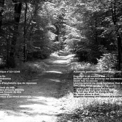 Poème posthume automatique n°32112345
