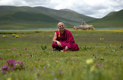 Matthieu Ricard : L'altruisme envers les animaux