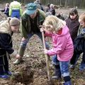 LIQUIDEMBAR, DOUGLAS, FIÉVÉS D'AMÉRIQUE, GLÉDITHIAS : AUX ARBRES, CITOYENS ! 