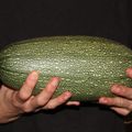 et la montagne accoucha...d'une courgette !