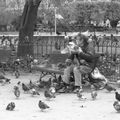 l'homme au pigeons 