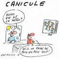 Canicule