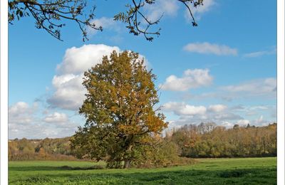 Un petit morceau de bocage