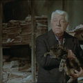 Le Chat (1971) de Pierre Granier-Deferre