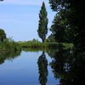 Loire-Atlantique - Le Parc National de la BrIère 