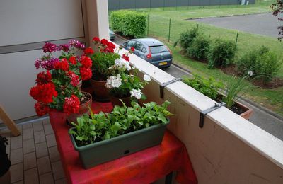 Le balcon/jardin