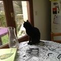 Une autre table (Zigmund)