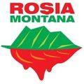 Europa Nostra urges the Roumanian government to save Rosia Montana