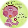 Gagnez une toile de Miss Bric à Brac