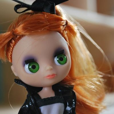 Blythe petshop ...