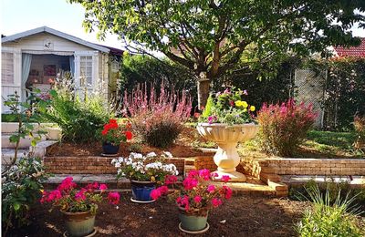 Un petit tour dans mon jardin