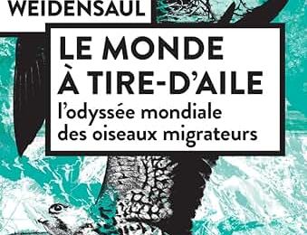 "Le monde à tire-d'aile" de Scott Weidensaul  * * * *  (Ed. Actes Sud - Mondes Sauvages ; 2024)