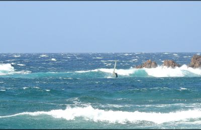 WINDSURF HORS SPOTS ! ...