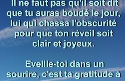 22 - Pensées choisies d'Alexandre Mercereau