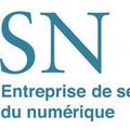 ENTREPRISES DE SERVICES DU NUMERIQUE