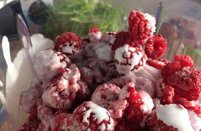 Gourmandises du dimanche- Le smoothie tout rouge de La Sorcière 