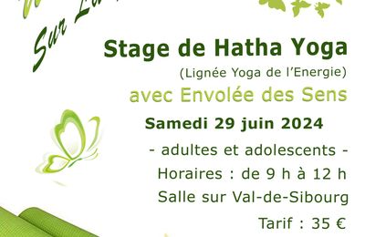 Dernier stage de Yoga 2023-2024