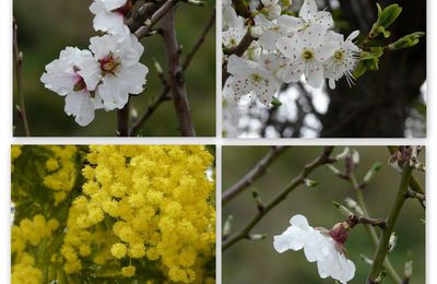 Après la pluie, le printemps