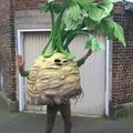 André Moulade ! Costume pour la Garden Pride 2014 (Carnaval des jardins-Roubaix) !!! 